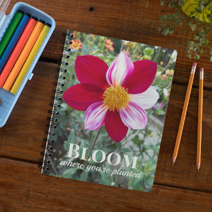 Bloom Where You're Planted Quote Floral Notebook