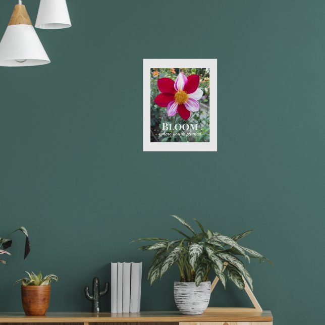 Bloom Where You're Planted Quote Floral Poster (Living Room 1)