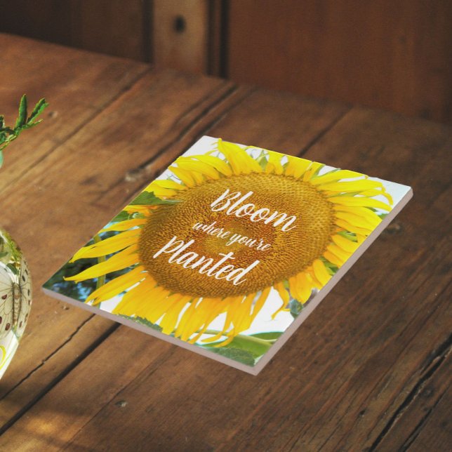 Bloom Where You're Planted Yellow Sunflower Tile (In Situ)