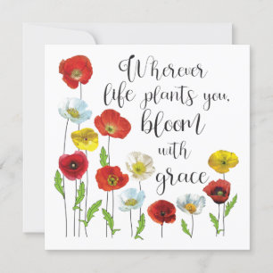 Bloom with grace-Poppy flowers 