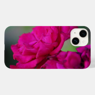 Bloomed Pink Rose iPhone Case