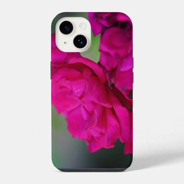 Bloomed Pink Rose iPhone Case (Back)