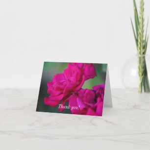 Bloomed Pink Rose Thank You Card