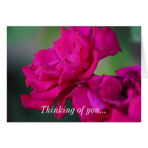 Bloomed Pink Rose Thinking Of You Card