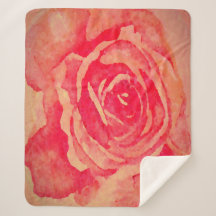 Bloomed Rose