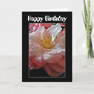 Bloomin' Camellias Birthday Card