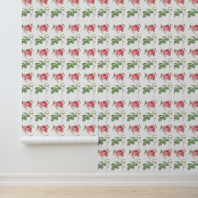 Bloomin' Gorgeous: Retro Pink Rose Revival  Wallpaper (Application)