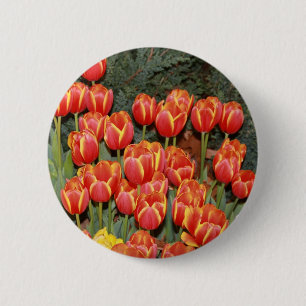 Bloomin' Tulips! 6 Cm Round Badge