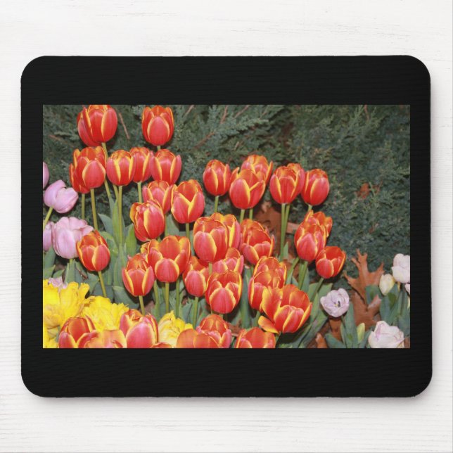 Bloomin' Tulips! Mouse Mat (Front)