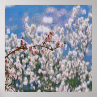 Blooming Almond Tree Poster