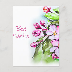 Blooming Apple Blossoms Postcard