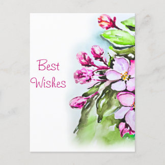 Blooming Apple Blossoms Postcard