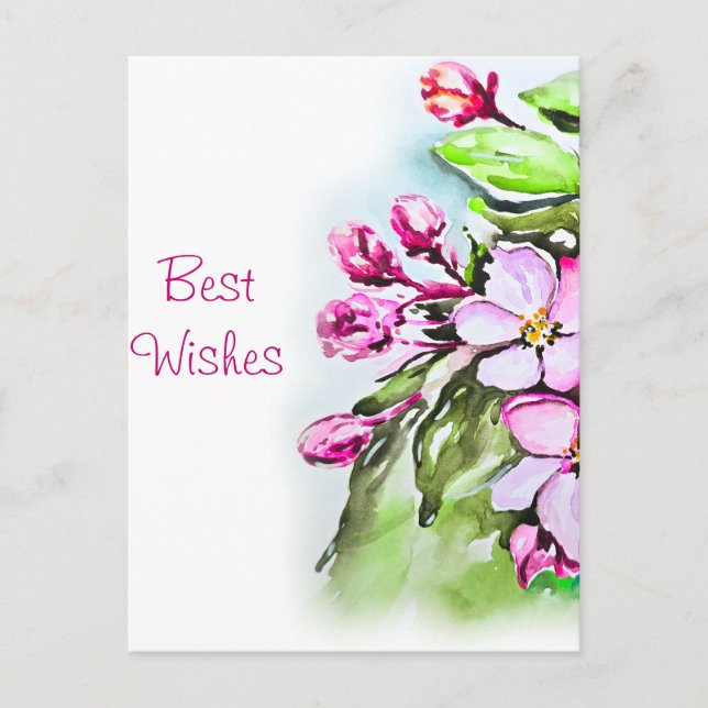 Blooming Apple Blossoms Postcard (Front)