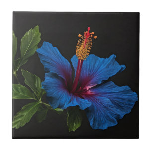 Blooming Blue Hibiscus Flower, Tile