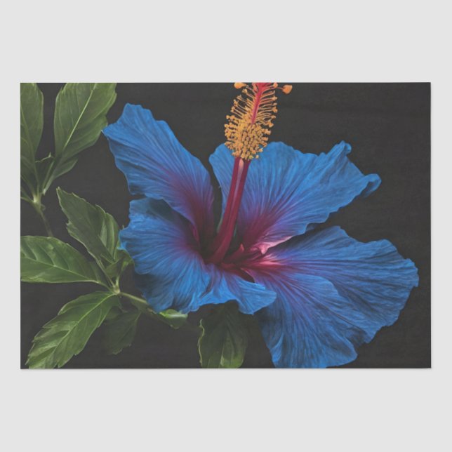 Blooming Blue Hibiscus Flower, Tissue Paper (Front)