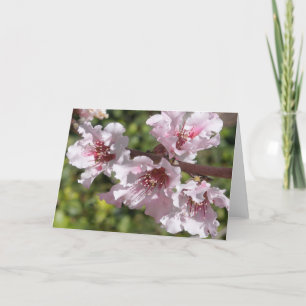 Blooming Branch Card