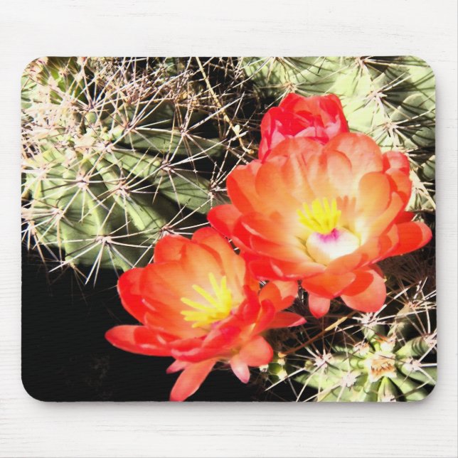 Blooming Cactus at Night Mouse Mat (Front)