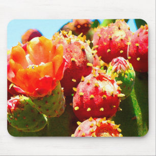 Blooming Cactus by Amy Vangsgard Mouse Mat
