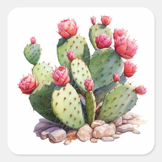 Blooming Cactus Garden Sticker – Colourful Succule (Front)