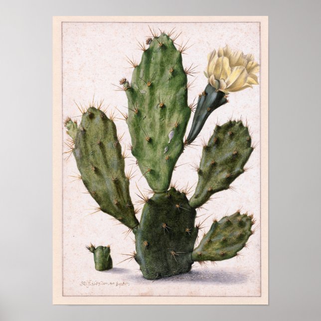 blooming cactus 🌵 poster (Front)