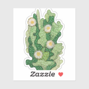 Blooming cactus, succulent flowers, desert plants