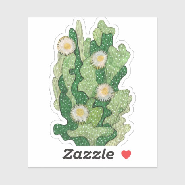 Blooming cactus, succulent flowers, desert plants (Sheet)