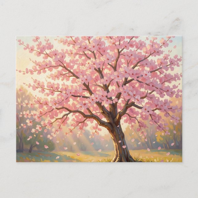  Blooming Cherry Blossom Tree Spring  Postcard (Front)
