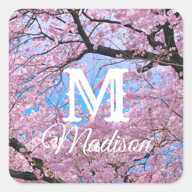 Blooming Cherry Blossoms Square Sticker (Front)