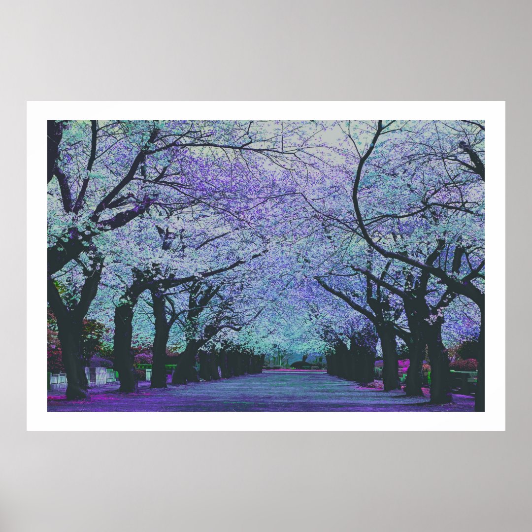 Blooming Cherry Blossoms Tokyo, Japan Poster | Zazzle