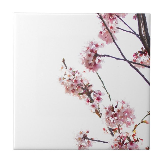 Blooming Cherry Tree Tile (Front)