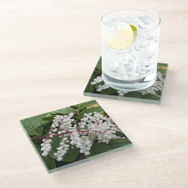 Blooming False Solomon's Seal Plant Floral Glass Coaster (Angled)