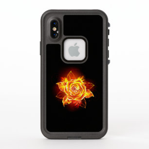 Blooming Fire Rose