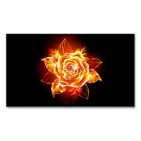 Blooming Fire Rose