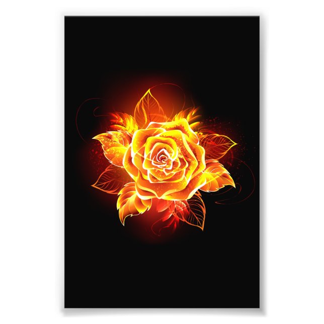 Blooming Fire Rose Photo Print (Front)