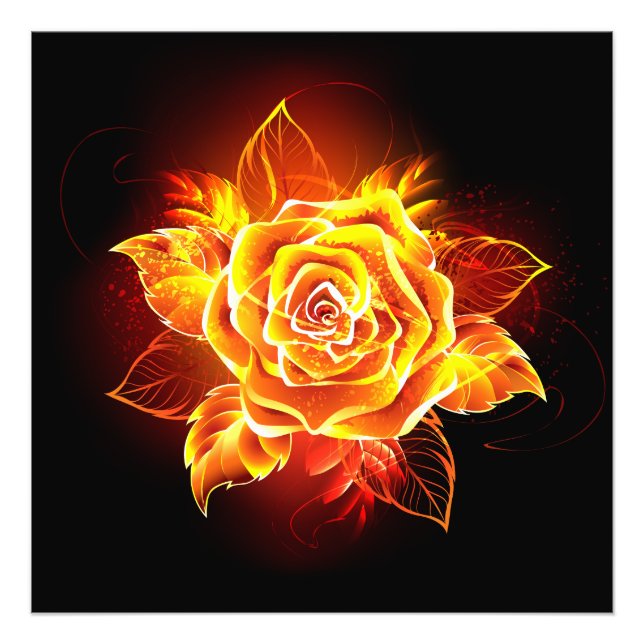 Blooming Fire Rose Photo Print (Front)