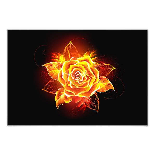 Blooming Fire Rose Photo Print (Front)