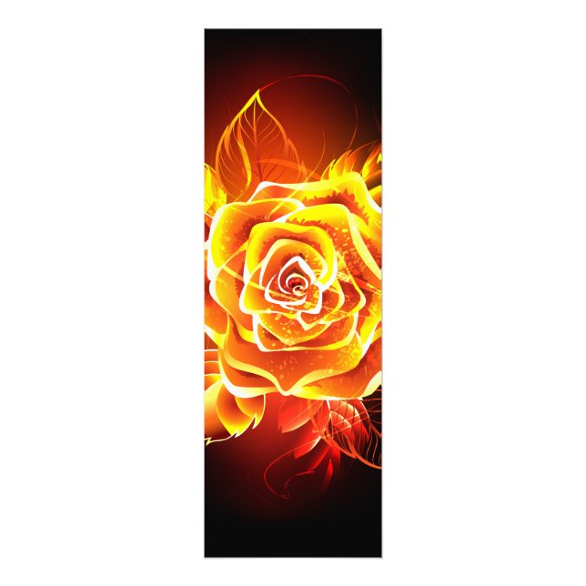 Blooming Fire Rose Photo Print (Front)