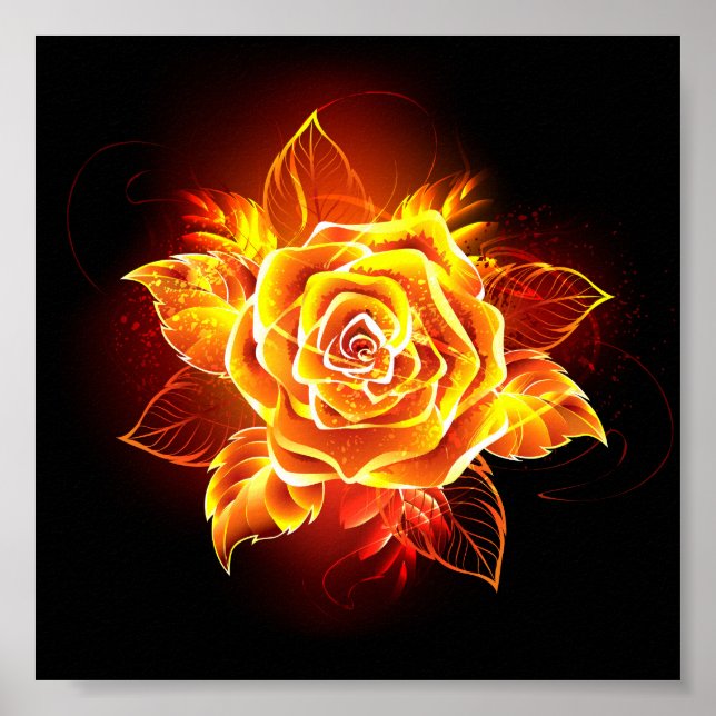 Blooming Fire Rose Poster (Front)