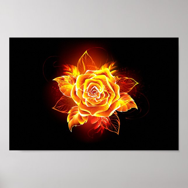 Blooming Fire Rose Poster (Front)