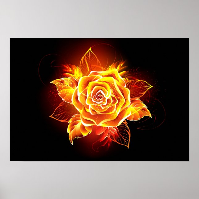 Blooming Fire Rose Poster (Front)
