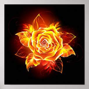 Blooming Fire Rose Poster