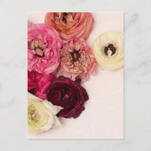 Blooming flowers postcard