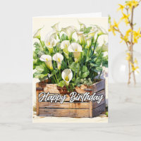 Blooming Freshly Picked Calla Lilies