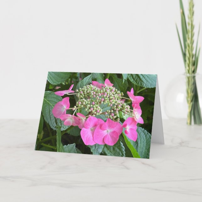 Blooming Hydrangea Blank Note Card (Front)