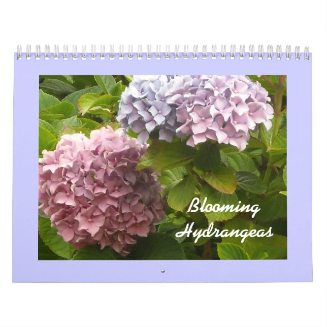 Blooming Hydrangeas Calendar (Cover)