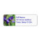 Blooming Iris