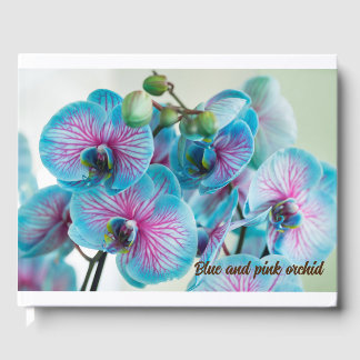 Blooming isolated on a white background guest book