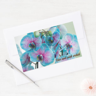 Blooming isolated on a white background rectangular sticker