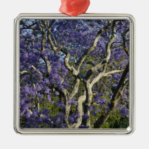 Blooming Jacaranda Trees in New Farm Park, 2 Metal Tree Decoration