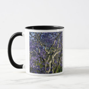Blooming Jacaranda Trees in New Farm Park, 2 Mug